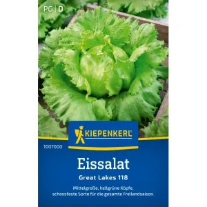 Sämerei-Eissalat ‚Great Lakes 118‘
