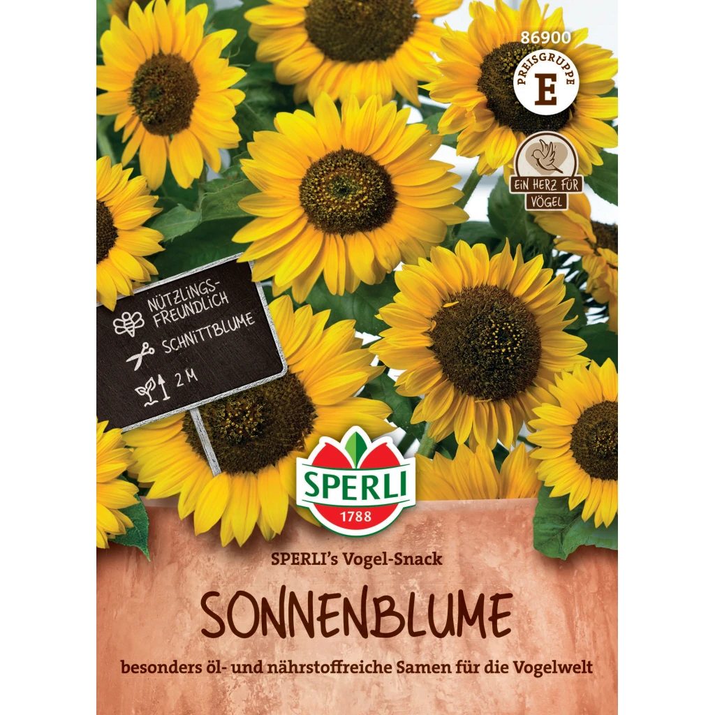 Sämerei-Snack-Sonnenblume ‚Peredovick‘ – Bild 2